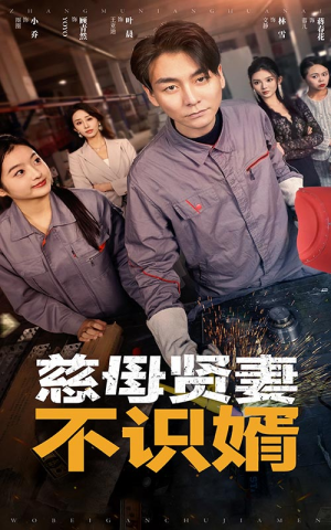 慈母贤妻不识婿(45集) 慈母贤妻不识婿(45集)百万短剧抢先看