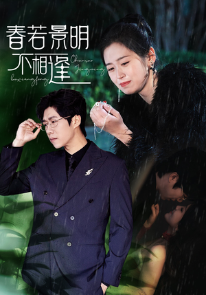 春若景明不相逢（50集）免费看全网短剧
