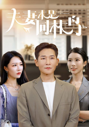 夫妻本是同林鸟(76集) 夫妻本是同林鸟(76集)全集一次看完