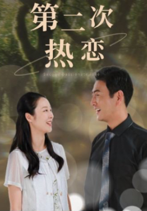 第二次热恋(48集) 第二次热恋(48集)短剧全集完整版