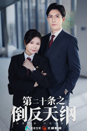 第二十条之倒反天纲（60集）短剧免费看全集