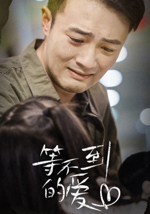 等不到的爱(40集) 等不到的爱(40集)夸克网盘在线看