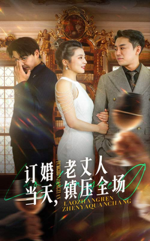 订婚当天,老丈人镇压全场(29集) 订婚当天,老丈人镇压全场(29集)免费短剧看全集