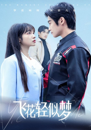 飞花轻似梦(37集) 飞花轻似梦(37集)男频短剧推荐
