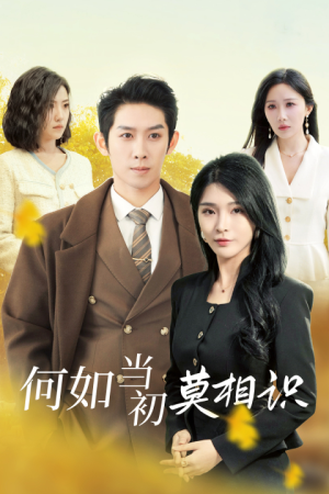 何如当初莫相识(36集) 何如当初莫相识(36集)短剧太好看了吧