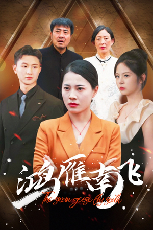 鸿雁南飞（64集）热门短剧免费看