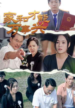 家和才能万事兴（30集）在线播放