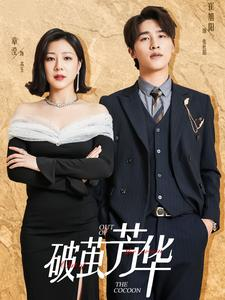 破茧芳华(80集) 破茧芳华(80集)追短剧太上头了