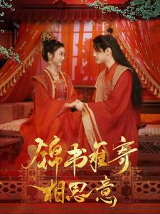 锦书难寄相思意(97集) 锦书难寄相思意(97集)短剧排行榜