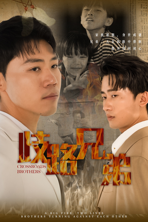 歧路兄弟(63集) 歧路兄弟(63集)真的好看吗