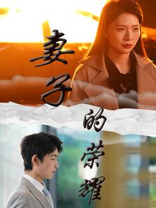 妻子的荣耀(40集) 妻子的荣耀(40集)最热短剧推荐