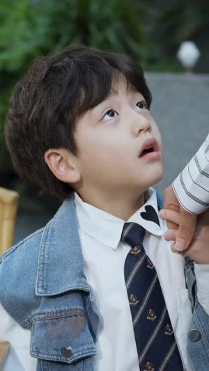 认输吧！夫人遍地皆马甲（100集）剧情简介