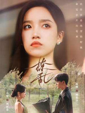 撩乱(65集) 撩乱(65集)全集一次看完