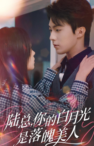 陆总，你的白月光是落魄美人（39集）好看上头短剧