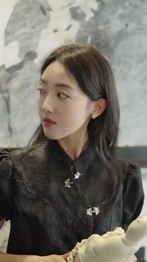 梅花印记（48集）短剧小说在线看