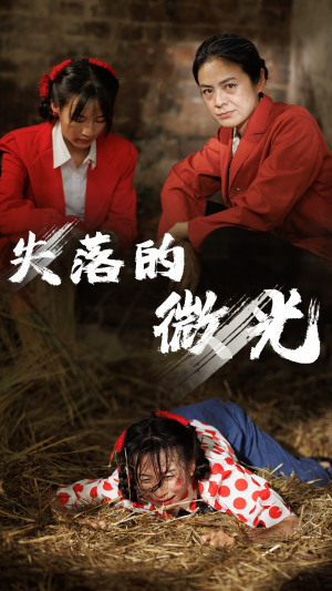 失落的微光(60集) 失落的微光(60集)演员表