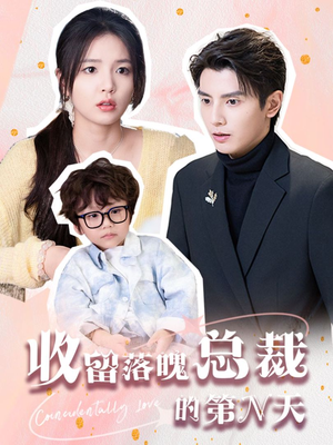 收留落魄总裁的第N天(60集) 收留落魄总裁的第N天(60集)第一季