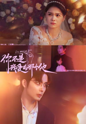 你不是我爱的那个他(54集) 你不是我爱的那个他(54集)太好看了短剧
