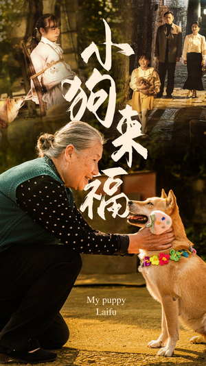 小狗来福(30集) 小狗来福(30集)短剧抢先看全集