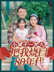 小舅子一把火把我烧回80年代（100集）一共多少集