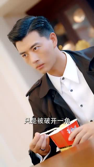 杏林逸韵（100集）免费短剧全集看