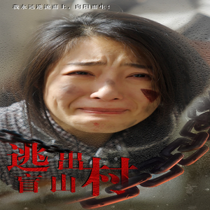 逃出盲山村(48集) 逃出盲山村(48集)在线观看