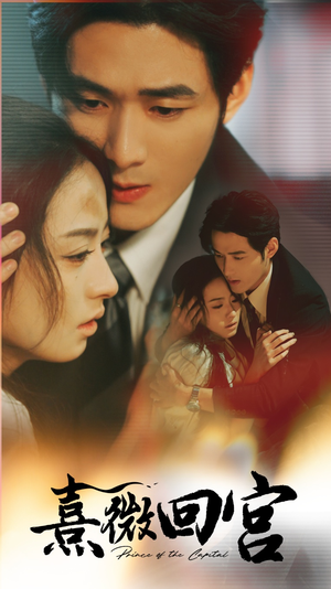 熹微回宫(61集) 熹微回宫(61集)全集一次看完