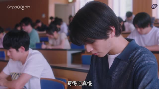 向阳之处必有声（12集）短剧完整版免费