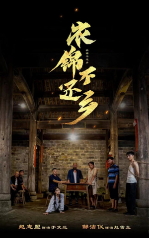 衣锦不还乡(69集) 衣锦不还乡(69集)精彩短剧看不停