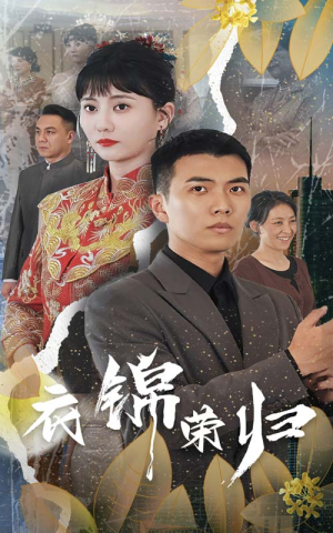 衣锦荣归(81集) 衣锦荣归(81集)演的怎么样