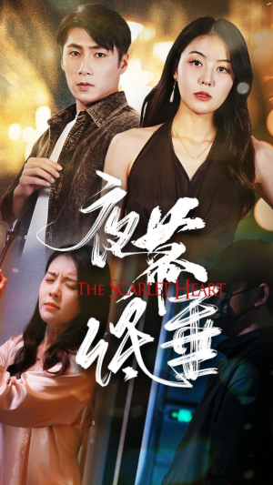 夜幕低垂(37集) 夜幕低垂(37集)看到大结局