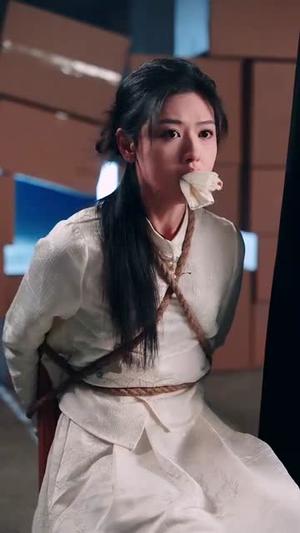 医圣仁心战神无双(91集) 医圣仁心战神无双(91集)完整版