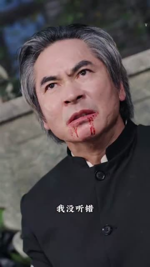 武林(60集) 武林(60集)全季一次看完