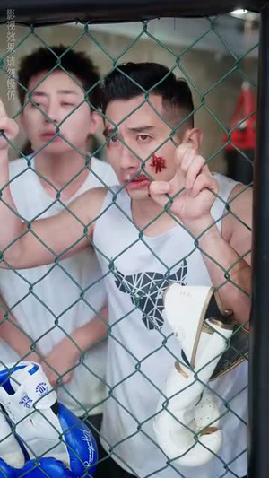 主妇的铁拳（41集）短剧追到爽