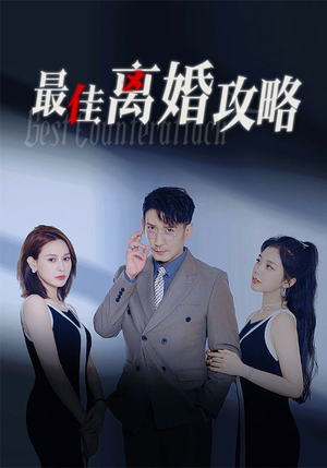 最佳离婚攻略(31集) 最佳离婚攻略(31集)解说