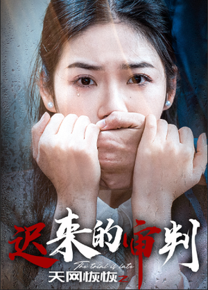 天网恢恢之迟来的审判(31集) 天网恢恢之迟来的审判(31集)高清画质免费看