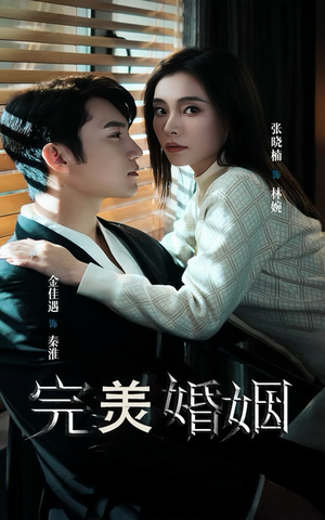 完美婚姻(65集) 完美婚姻(65集)全季一次看完