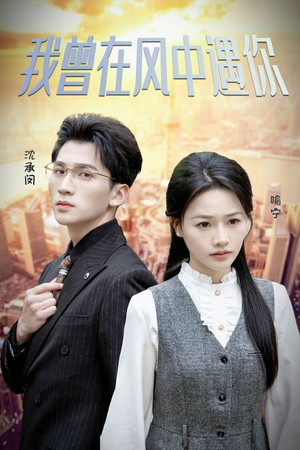 我曾在风中遇你(30集) 我曾在风中遇你(30集)最火的短剧