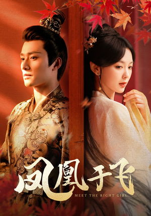 凤凰于飞(79集) 凤凰于飞(79集)爱上了这部剧了