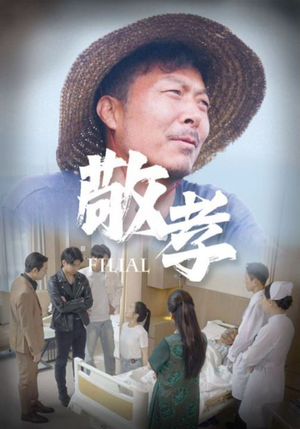 敬孝（61集）海量资源免费看