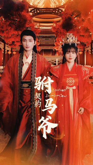 契约驸马爷（74集）评价怎么样