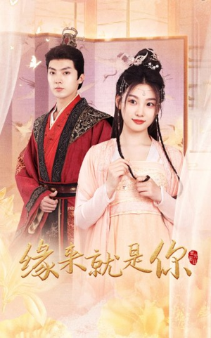 缘来就是你（65集）在线观看完整版