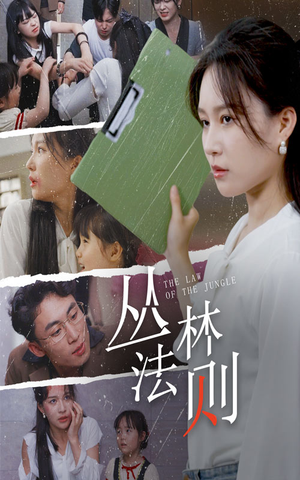 丛林法则（29集）短剧全集完整版