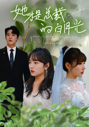 她才是总裁的白月光（90集）热播短剧排行榜