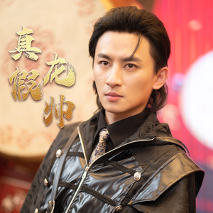 真假龙帅（81集）悬疑短剧推荐