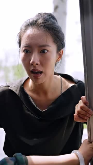 我怒火边界(24集) 我怒火边界(24集)好看短剧推荐