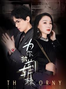 为你披荆斩棘（90集）免费版