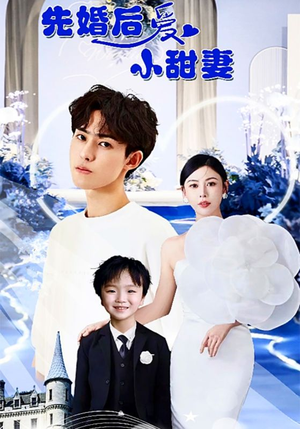 先婚后爱小甜妻(100集) 先婚后爱小甜妻(100集)360网盘观看