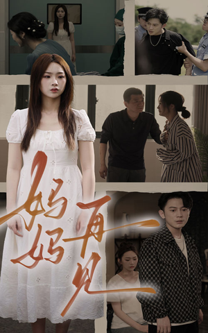 妈妈,再见(28集) 妈妈,再见(28集)全集一次看完