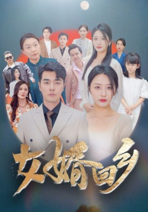 女婿回乡(120集) 女婿回乡(120集)高分佳作免费看